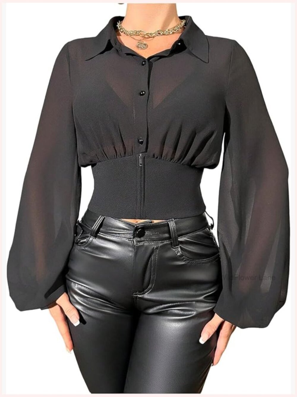Sheer Long Sleeve Crop Blouse Button Down Cinched Waist